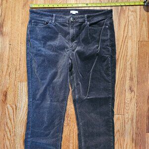 J. Jill Velvet Feel Pants Perfect Holiday Pants!